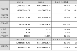 002596海南瑞泽2023年亏损5.07亿同比亏损增加 董事长张海林薪酬153万