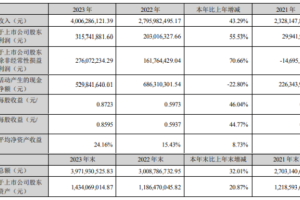 300389艾比森2023年净利3.16亿同比增长55.53% 董事长丁彦辉薪酬288.45万