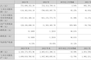 300065海兰信2023年亏损1.16亿同比亏损减少 董事长申万秋薪酬74.08万
